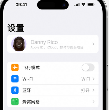 莲湖appleID维修服务iPhone设置中Apple ID显示为灰色无法使用