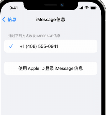 莲湖apple维修iPhone上无法正常发送iMessage信息 