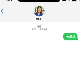 莲湖apple维修iPhone上无法正常发送iMessage信息