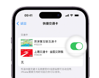 莲湖apple维修点分享iPhone上更换Apple Pay快捷交通卡手绘卡面 