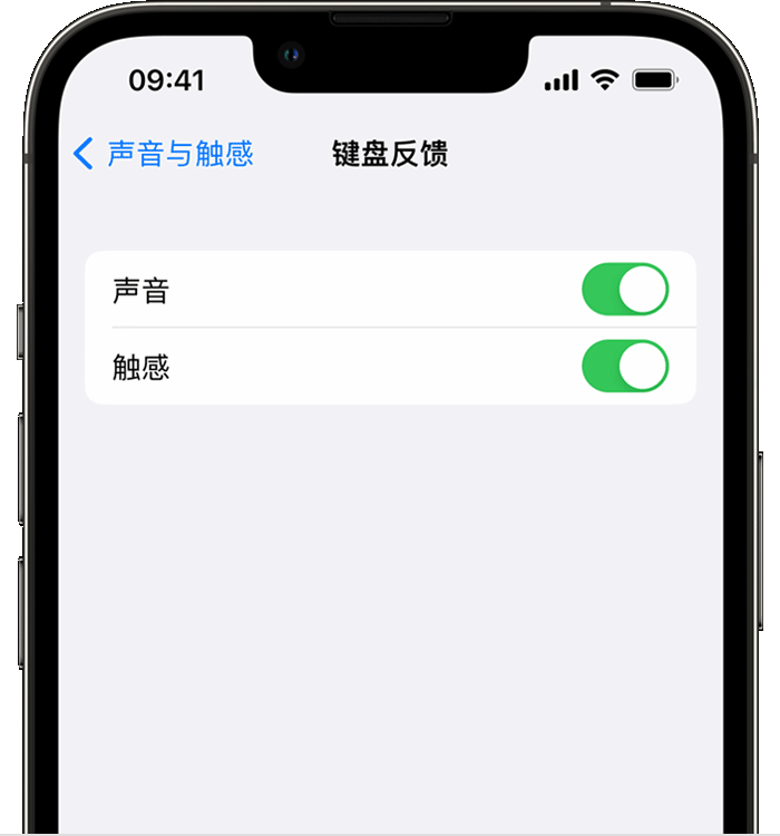 莲湖苹果14维修店分享如何在 iPhone 14 机型中使用触感键盘 