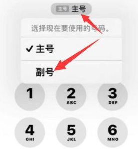 莲湖苹果14维修店分享iPhone 14 Pro Max使用副卡打电话的方法 