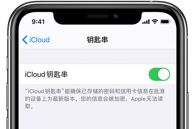 莲湖苹果手机维修分享在 iPhone 上开启 iCloud 钥匙串之后会储存哪些信息 